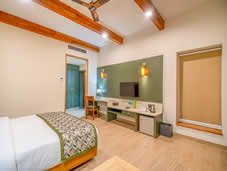 Martin Suite